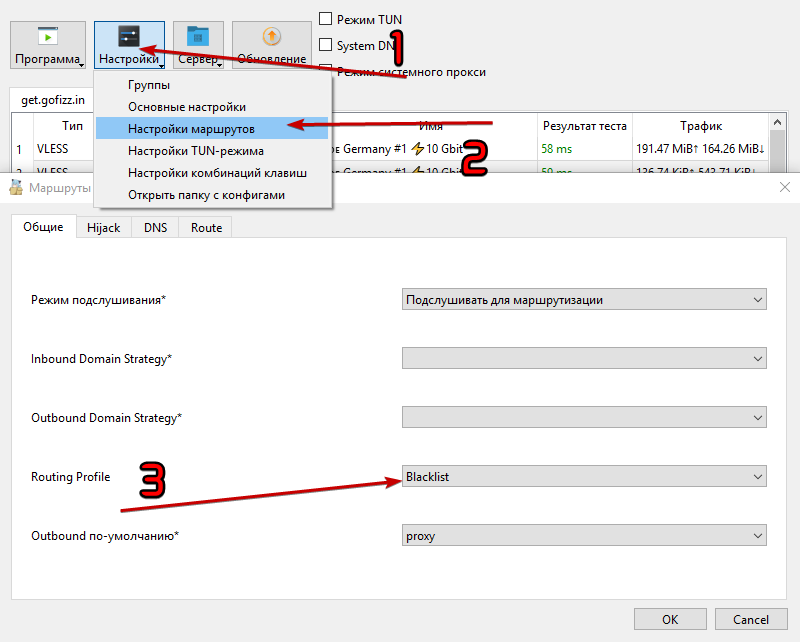 NekoRay-Whitelist-3